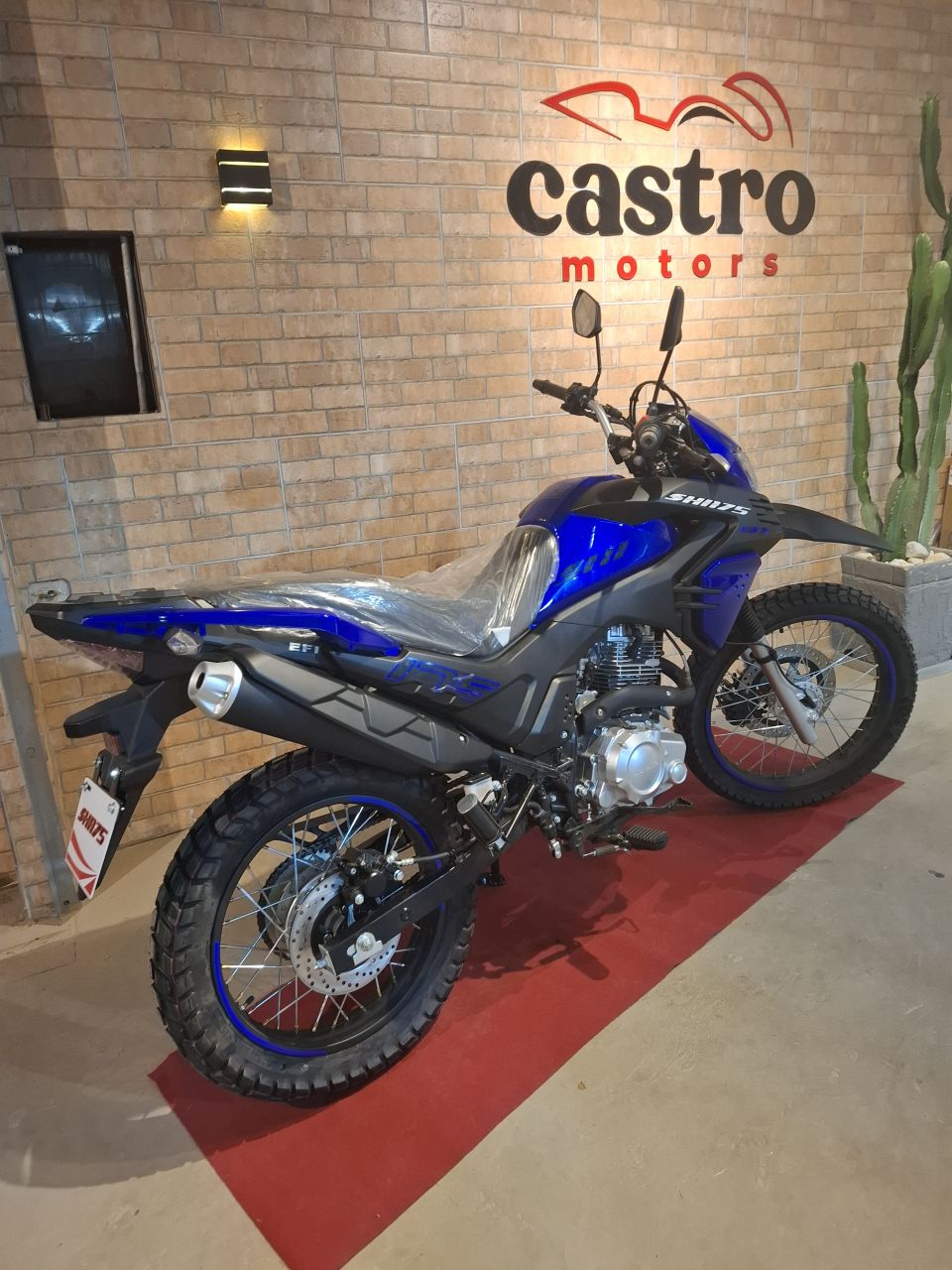 SHI 175 S EFI — foto 6