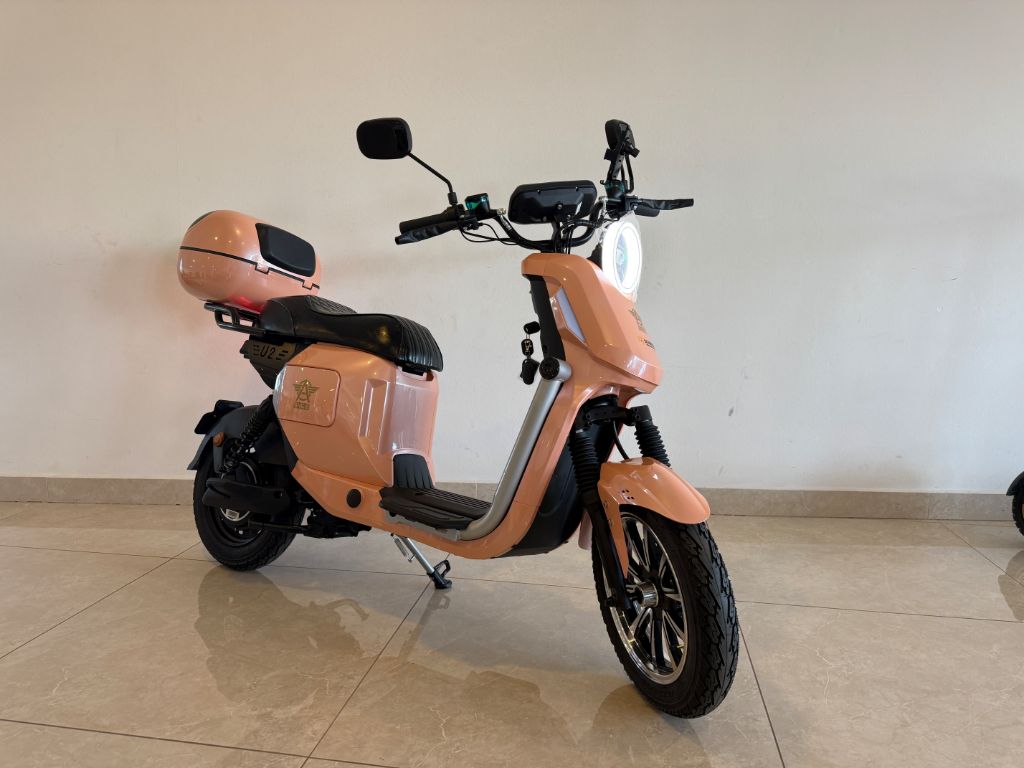 AG08/ U2 Autopropelido elétrico com motor 1000w velocidade maxima de 32km — foto 1