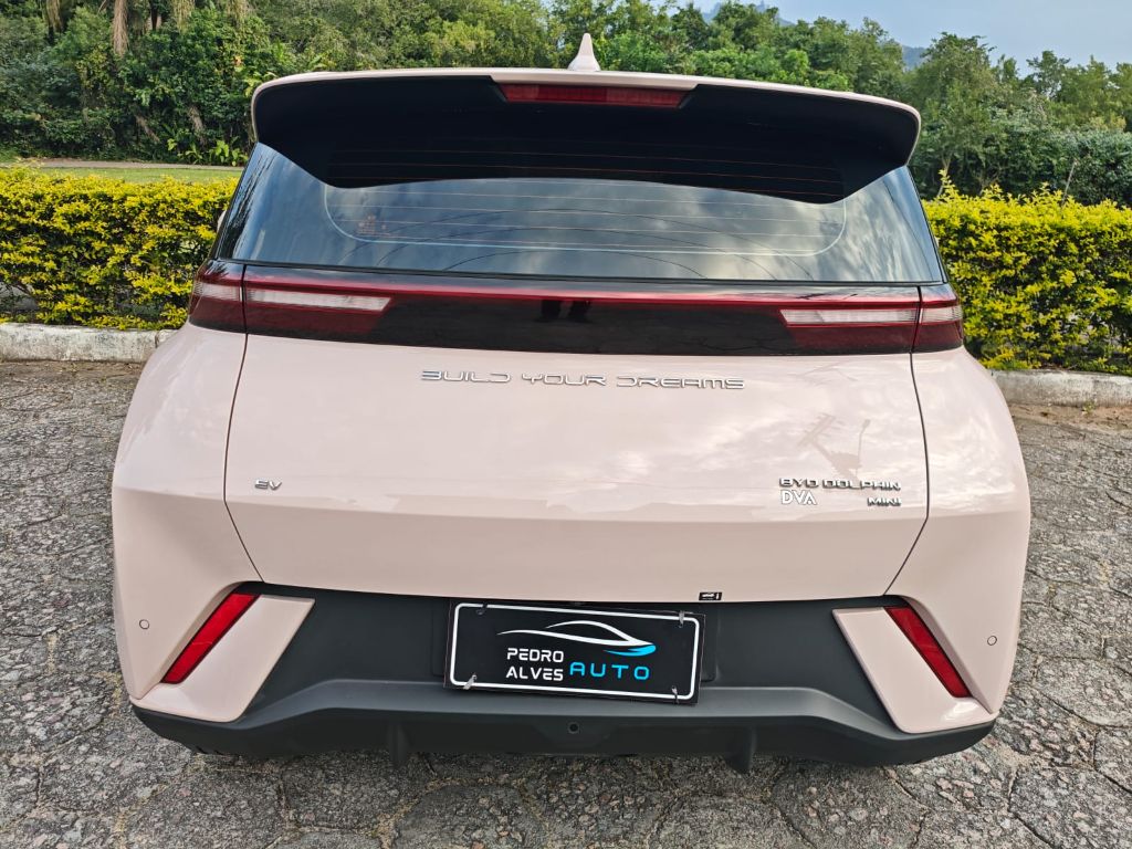 Dolphin Mini (Elétrico) — foto 6