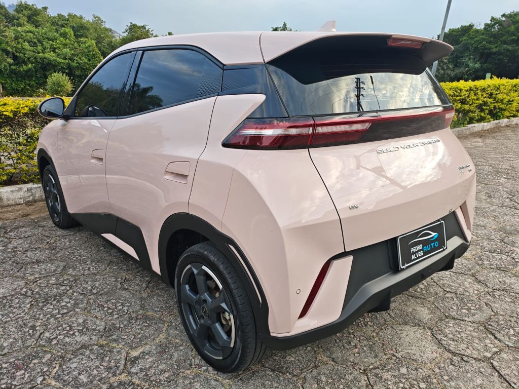 Dolphin Mini (Elétrico) — foto 5
