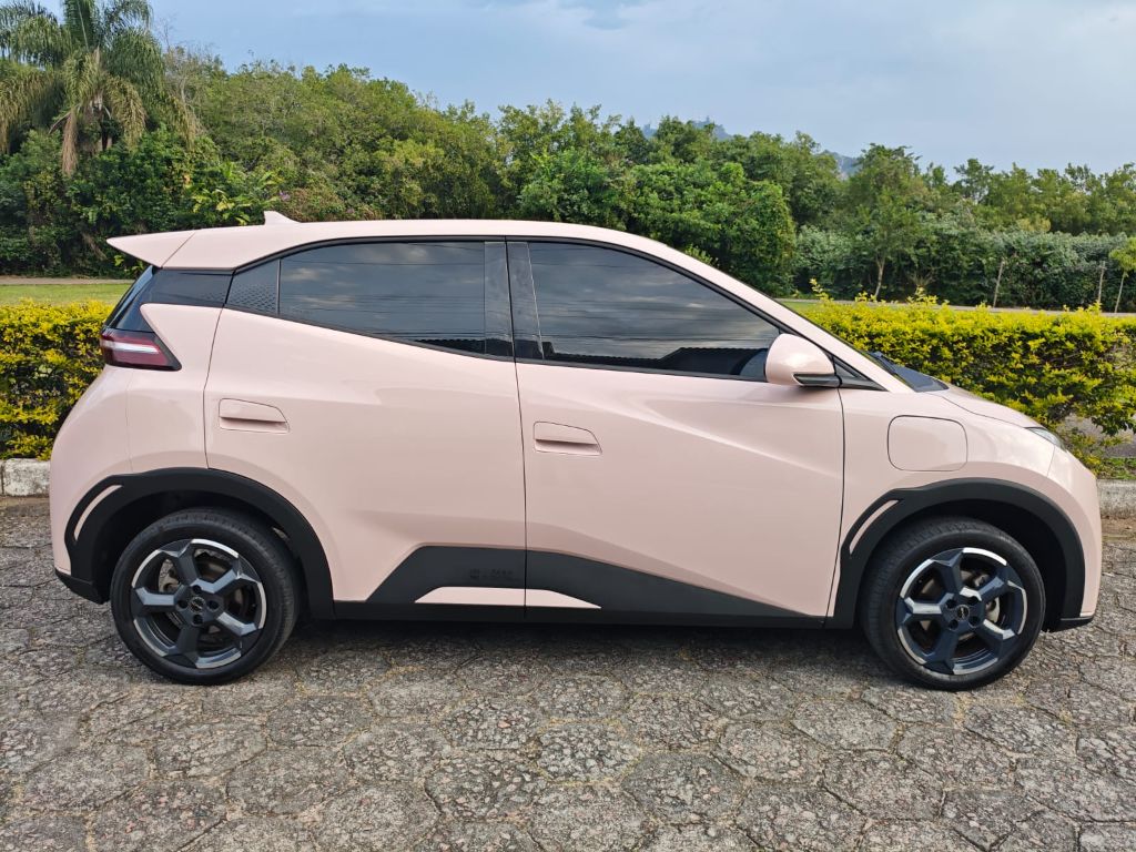 Dolphin Mini (Elétrico) — foto 7