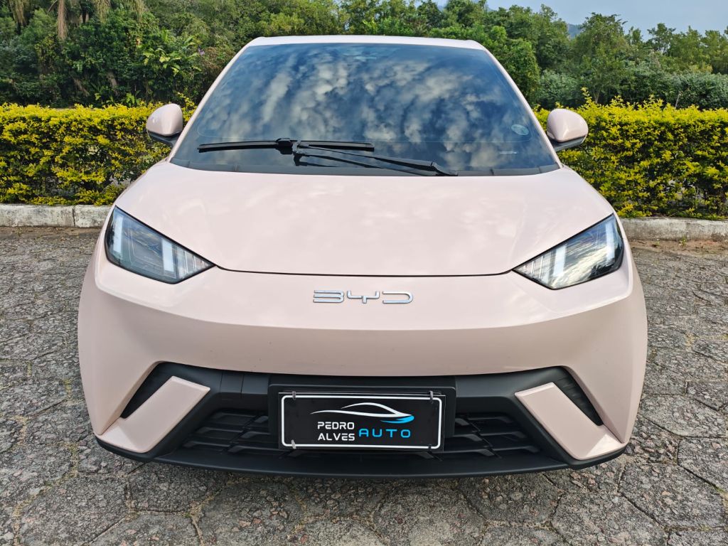 Dolphin Mini (Elétrico) — foto 3