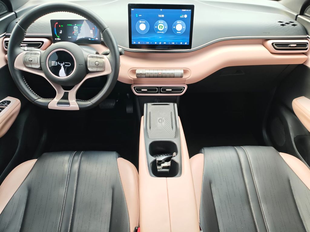 Dolphin Mini (Elétrico) — foto 9