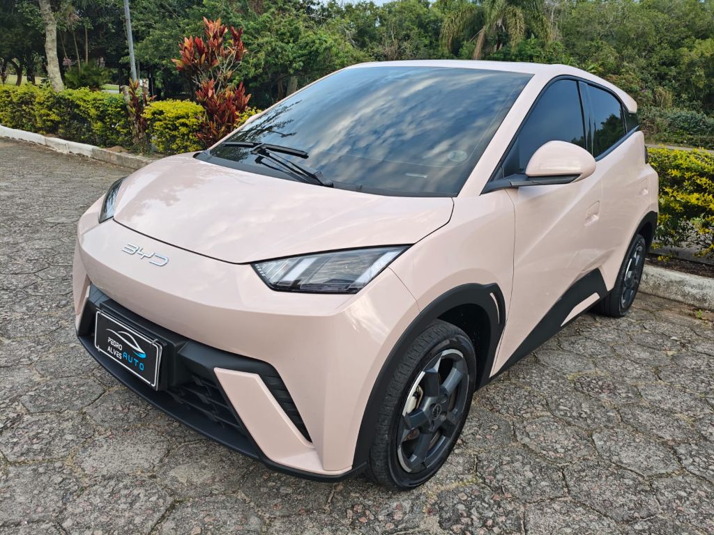 Dolphin Mini (Elétrico) — foto 1