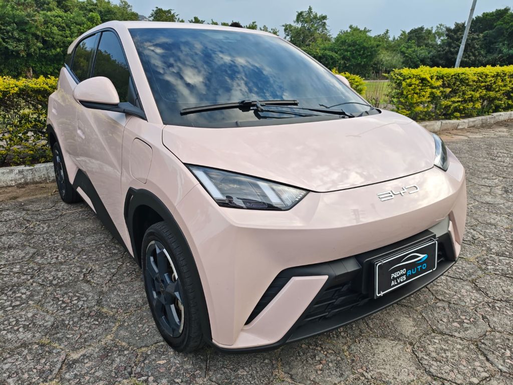 Dolphin Mini (Elétrico) — foto 2