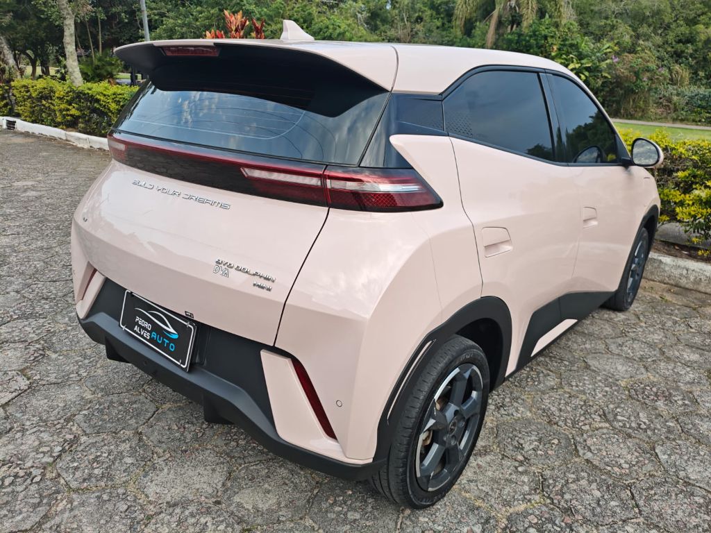 Dolphin Mini (Elétrico) — foto 4