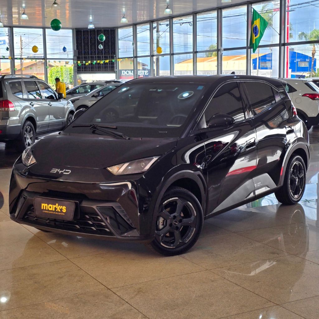 BYD Dolphin Mini (Elétrico)