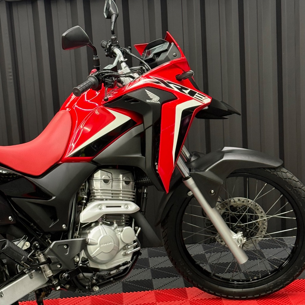 XRE 300 RALLY FLEX — foto 14