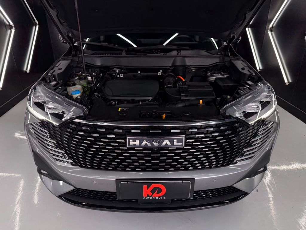 HAVAL H6 PREMIUM PHEV AWD — foto 17