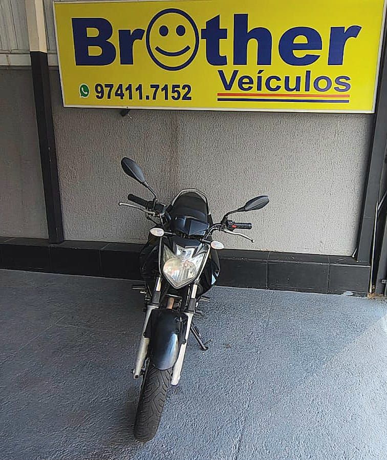 YS 250 FAZER/ FAZER L. EDITION /BLUEFLEX — foto 3