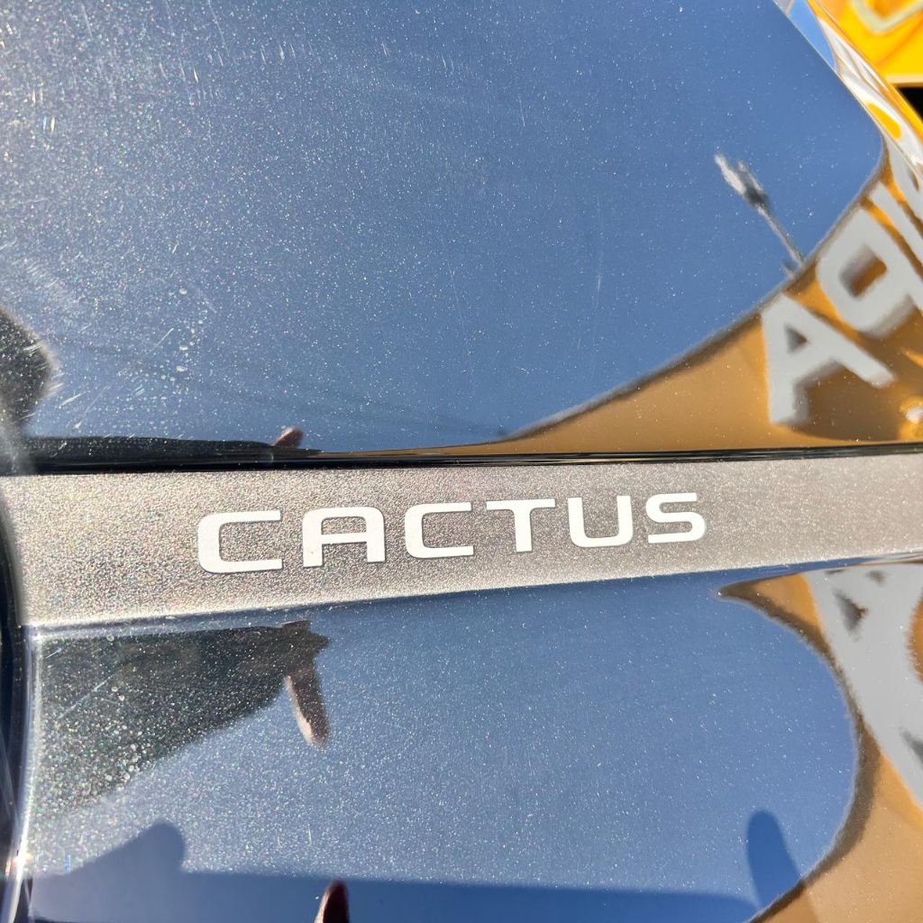 C4 CACTUS FEEL 1.6 16V Flex Aut. — foto 10