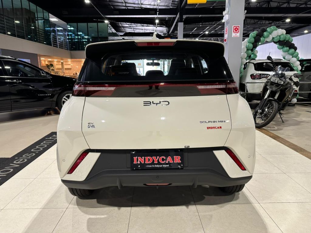 Dolphin Mini GS (Elétrico) — foto 5