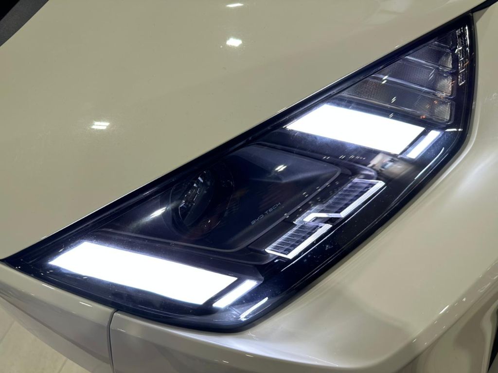 Dolphin Mini GS (Elétrico) — foto 26
