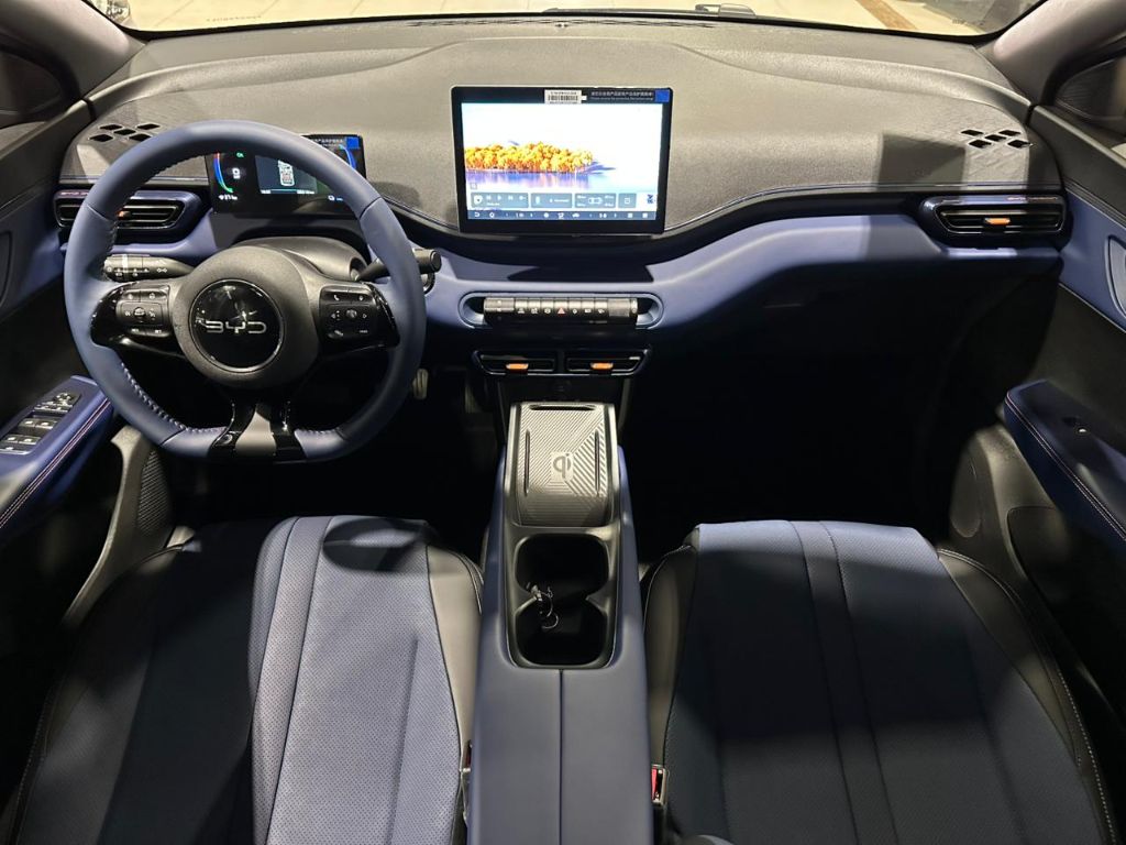 Dolphin Mini GS (Elétrico) — foto 7
