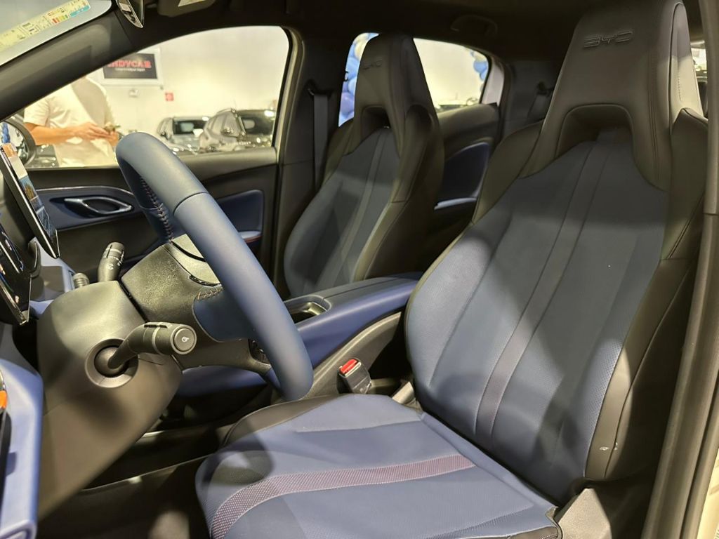 Dolphin Mini GS (Elétrico) — foto 19
