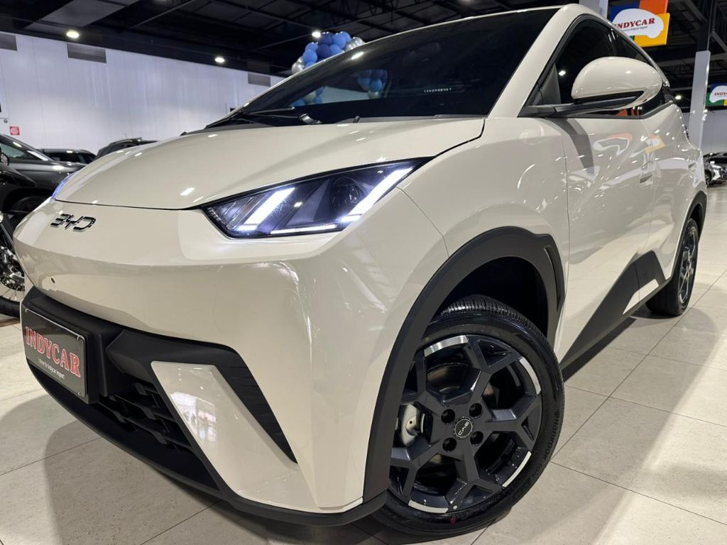 Dolphin Mini GS (Elétrico) — foto 28