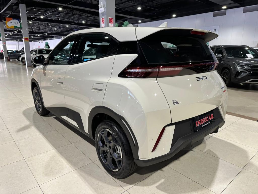 Dolphin Mini GS (Elétrico) — foto 4