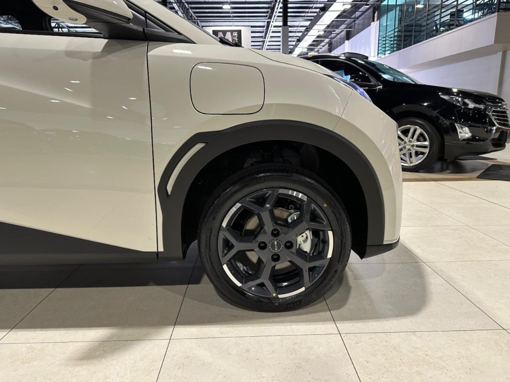 Dolphin Mini GS (Elétrico) — foto 22