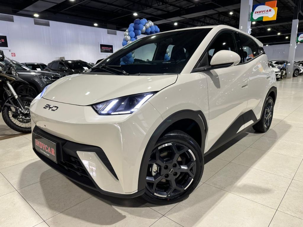 Dolphin Mini GS (Elétrico) — foto 1
