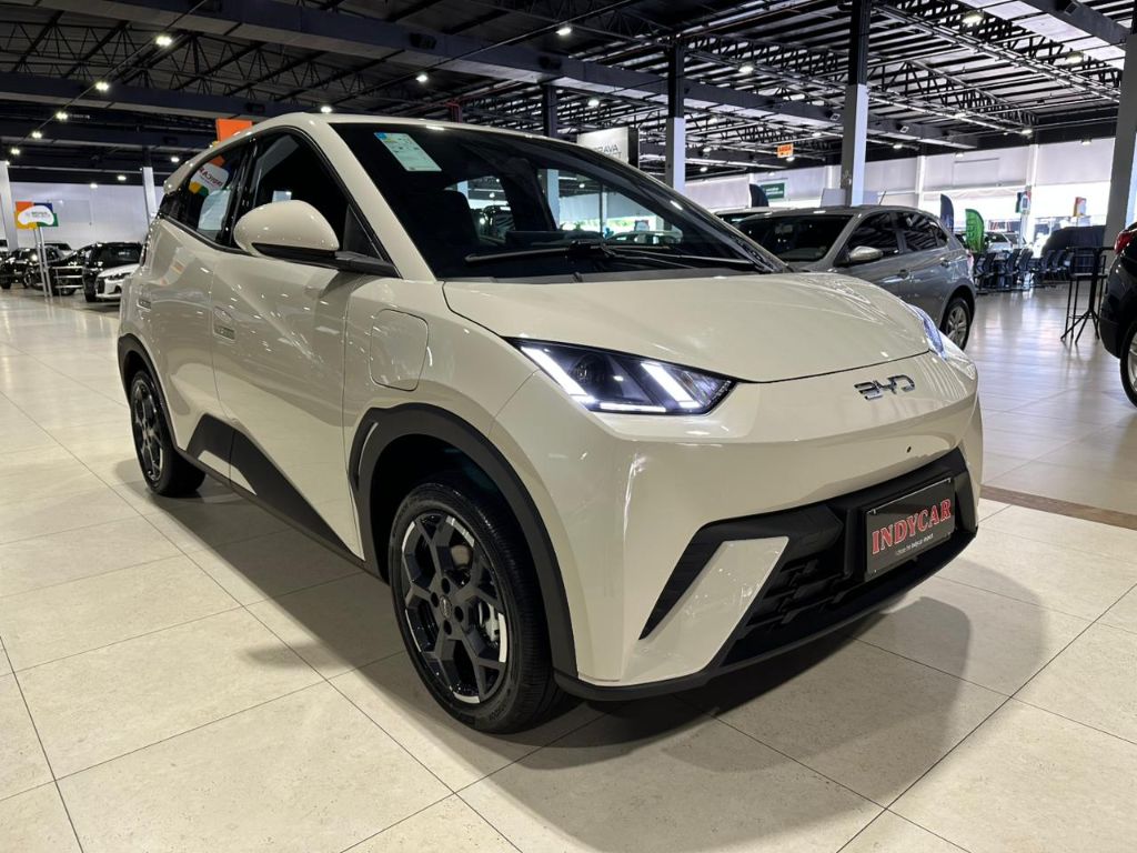 Dolphin Mini GS (Elétrico) — foto 3