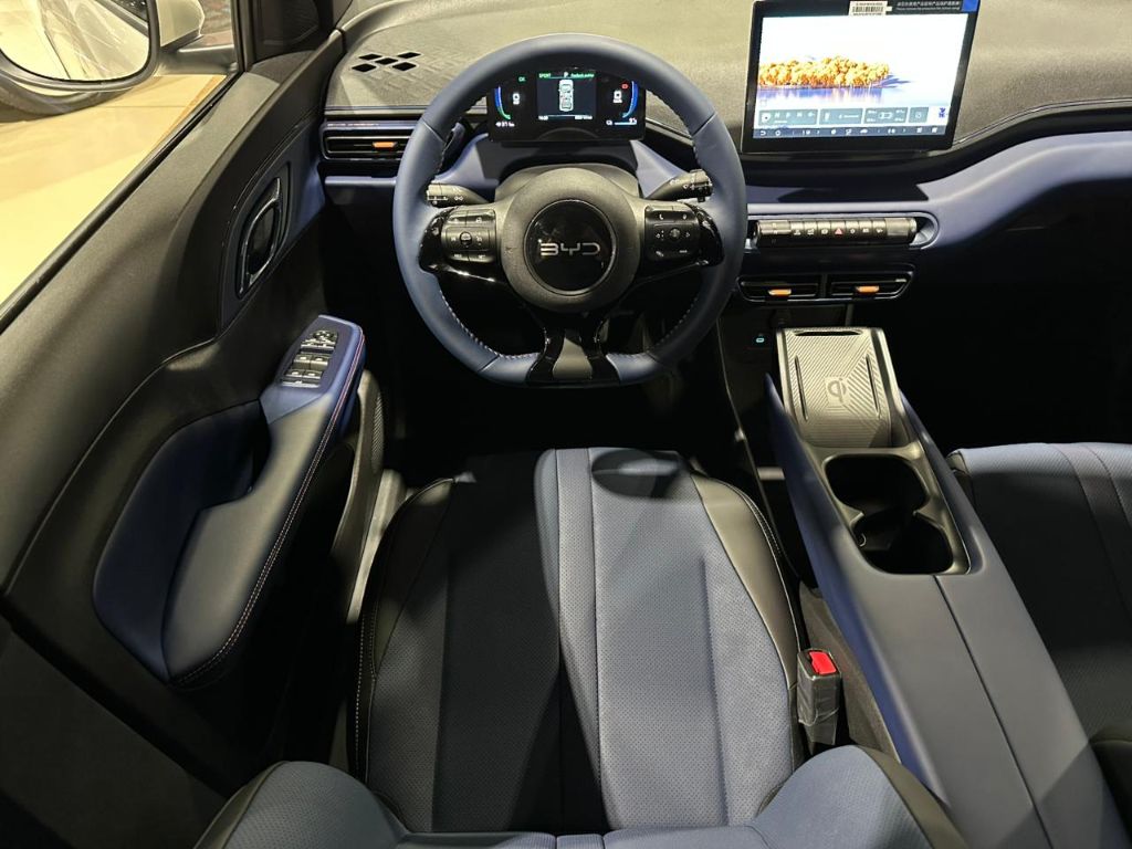 Dolphin Mini GS (Elétrico) — foto 8