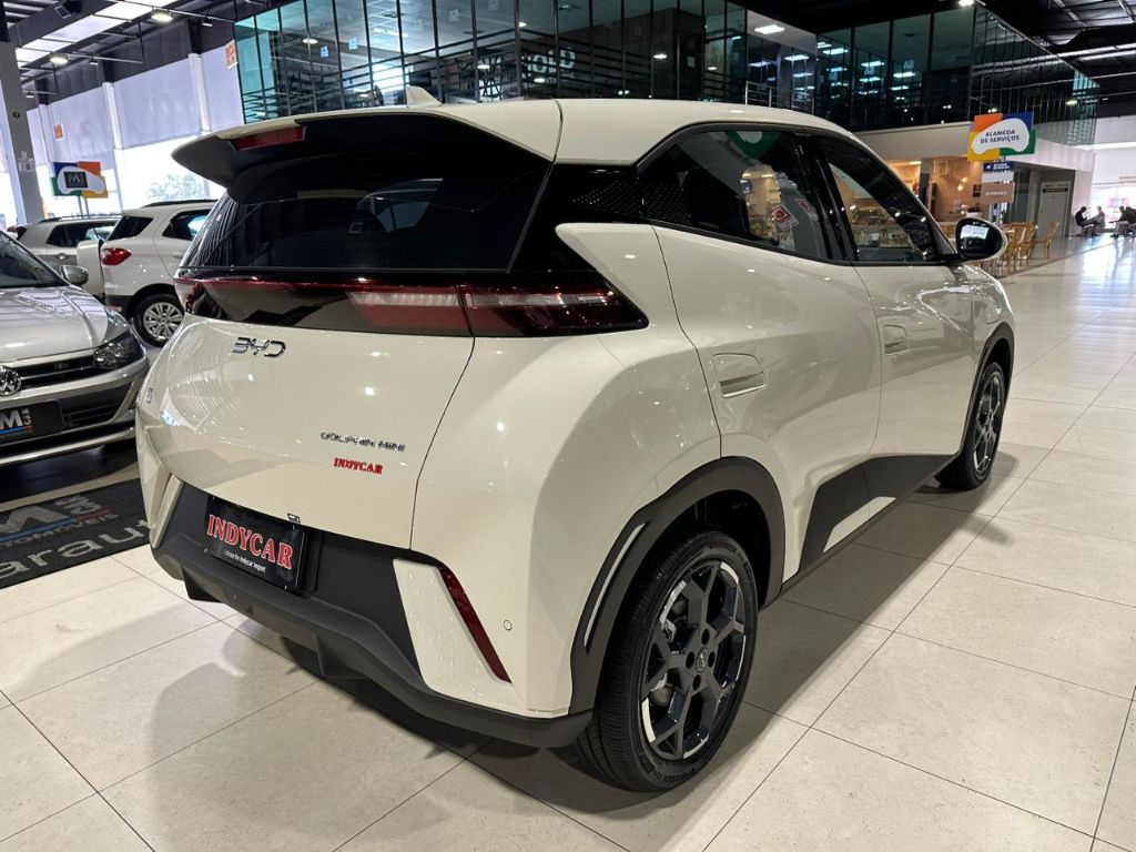 Dolphin Mini GS (Elétrico) — foto 6