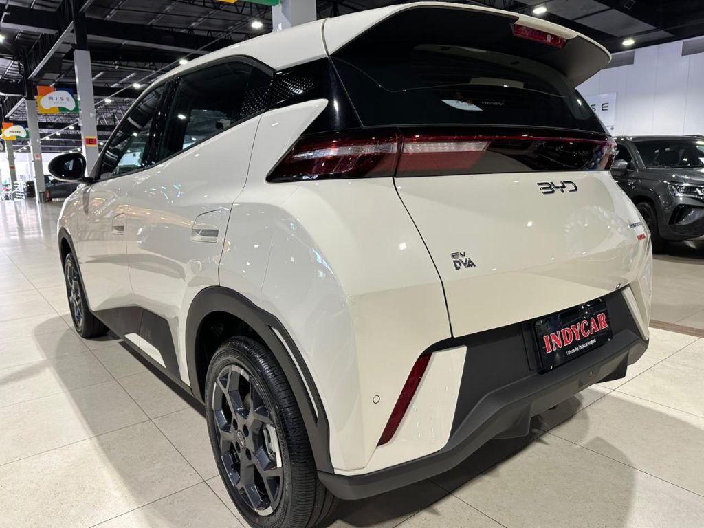 Dolphin Mini GS (Elétrico) — foto 25