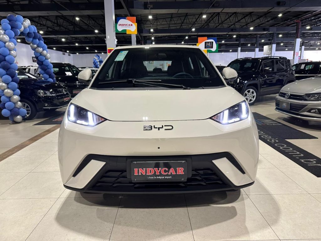 Dolphin Mini GS (Elétrico) — foto 2