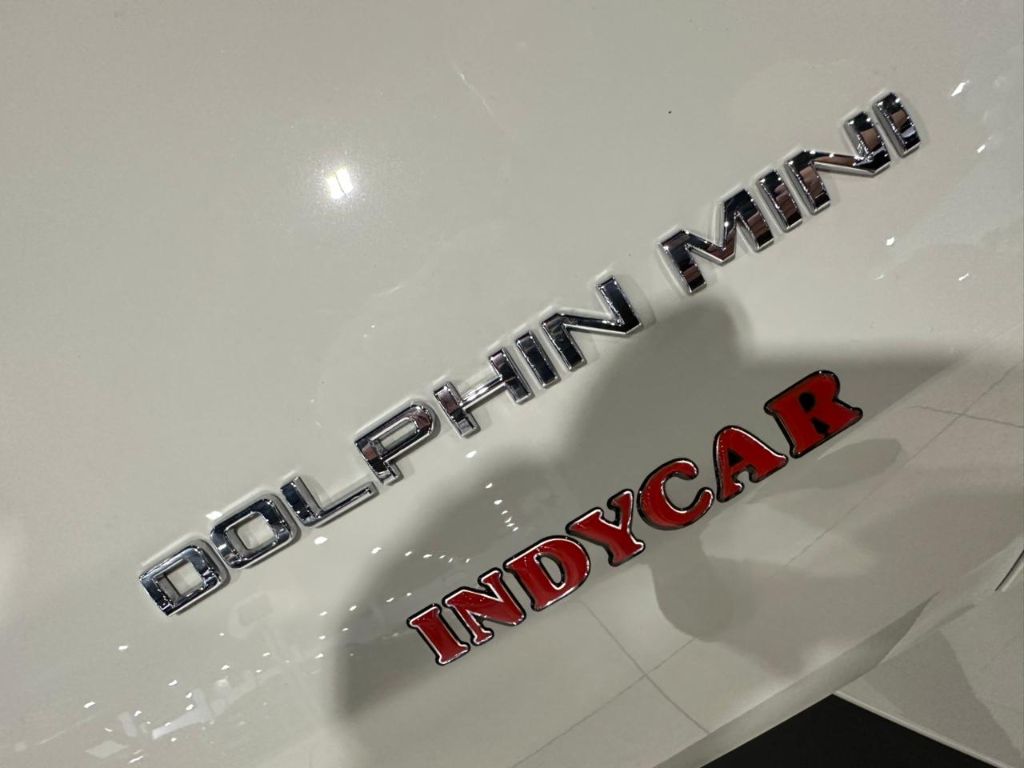 Dolphin Mini GS (Elétrico) — foto 23