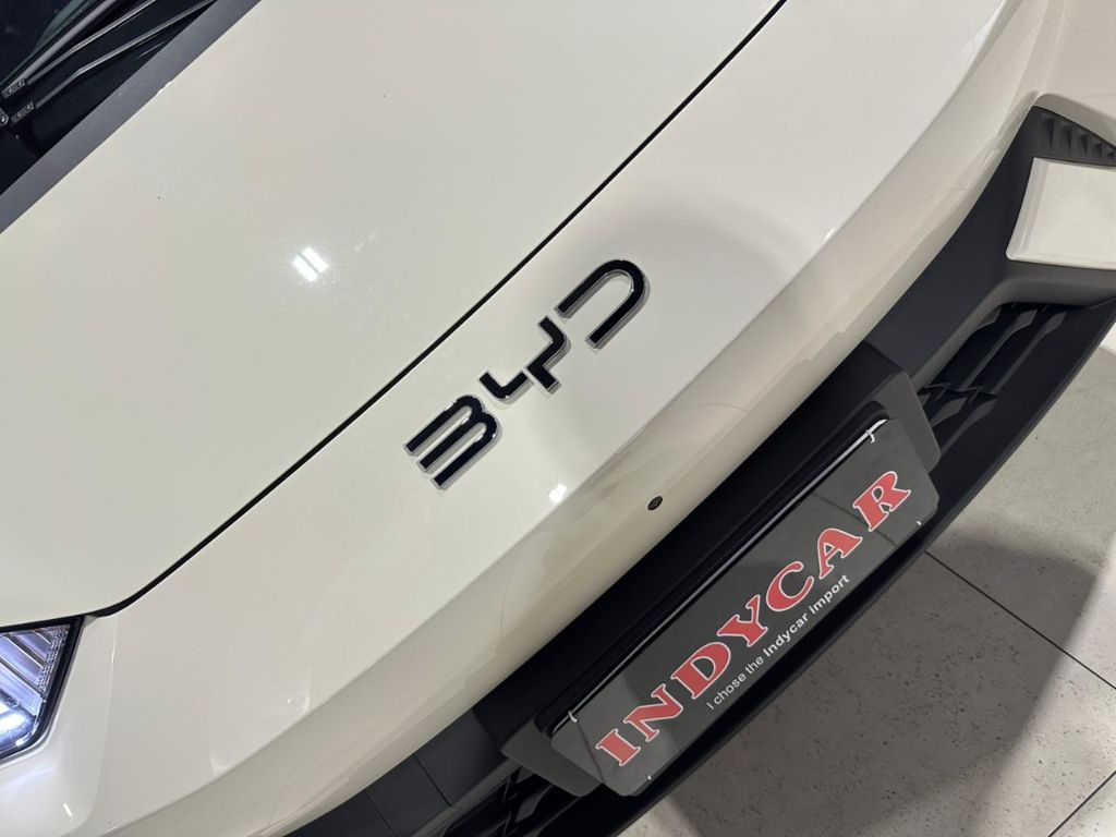 Dolphin Mini GS (Elétrico) — foto 27