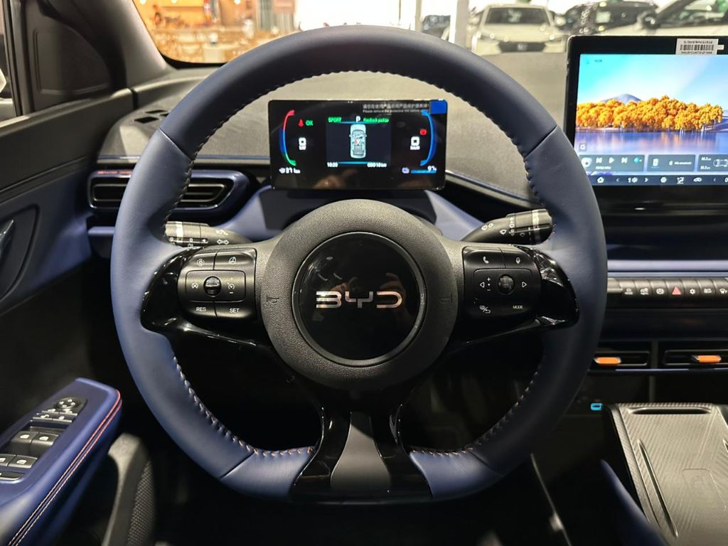 Dolphin Mini GS (Elétrico) — foto 9