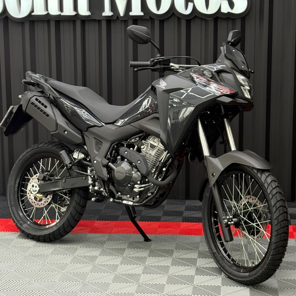 SAHARA 300 ABS FLEX — foto 2