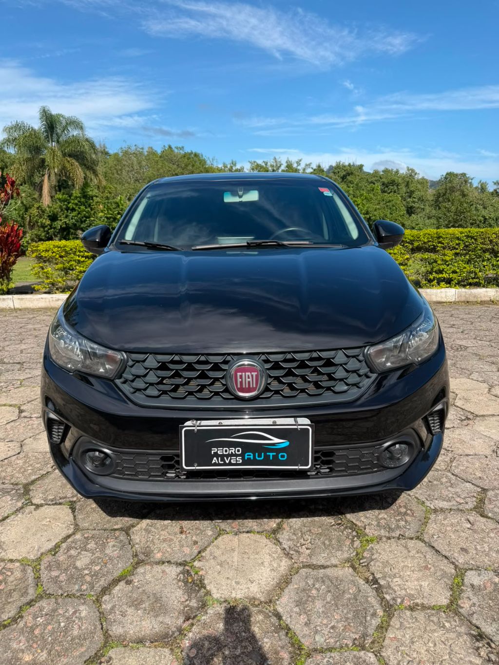 ARGO DRIVE 1.0 6V Flex — foto 3