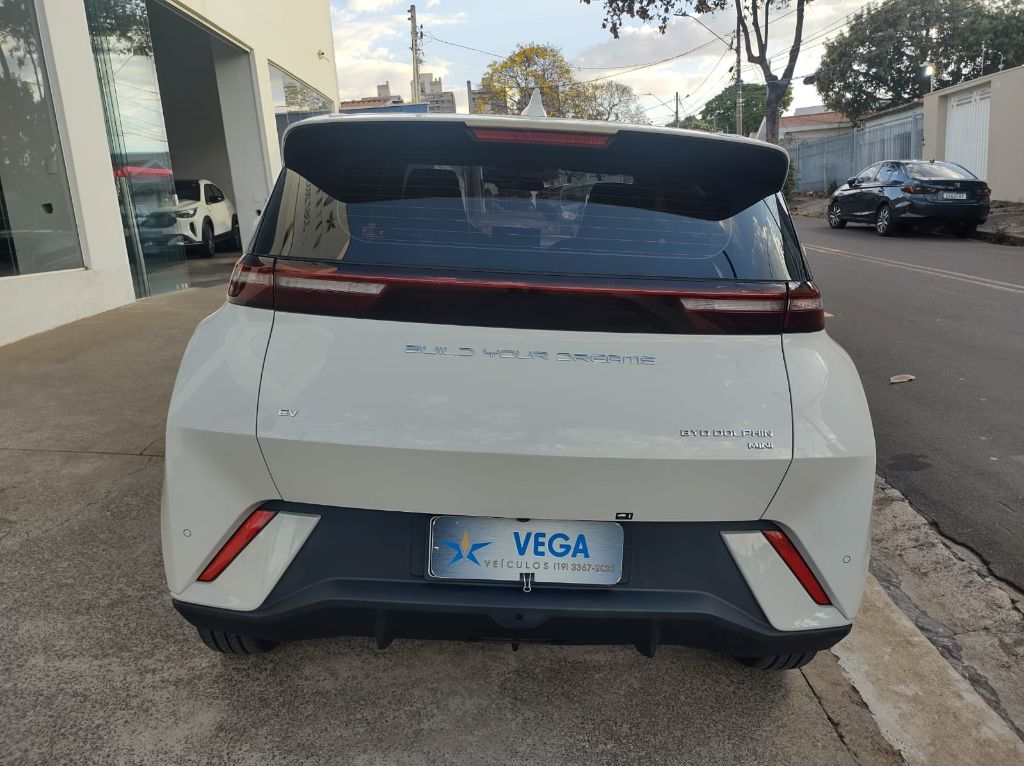 Dolphin Mini GS (Elétrico) — foto 4