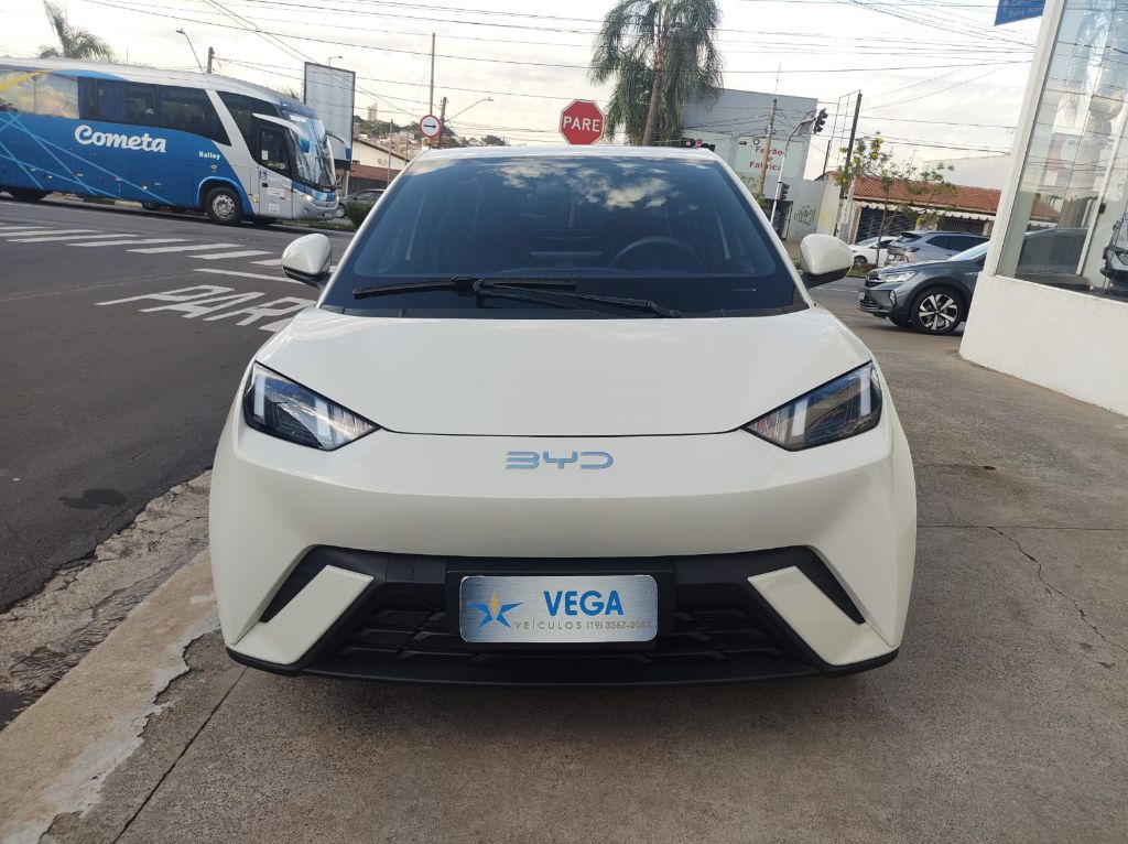 Dolphin Mini GS (Elétrico) — foto 3