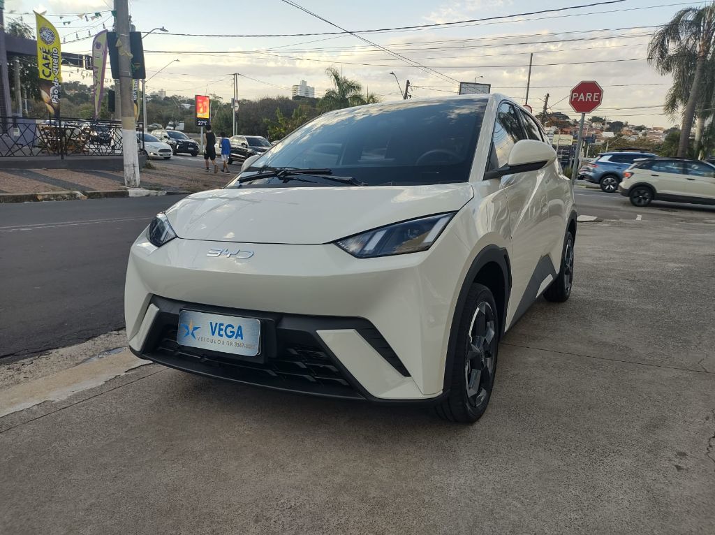 Dolphin Mini GS (Elétrico) — foto 1