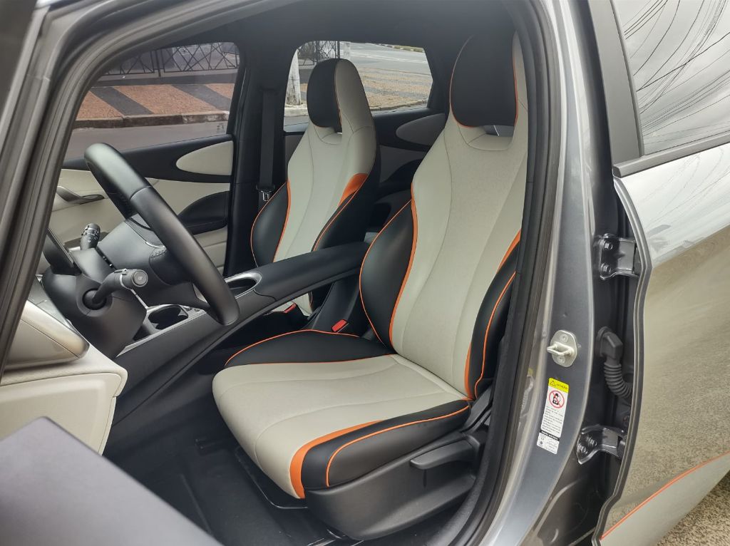 Dolphin EV GS (Elétrico) — foto 6