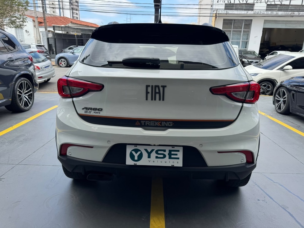 ARGO TREKKING 1.3 8V Flex — foto 4