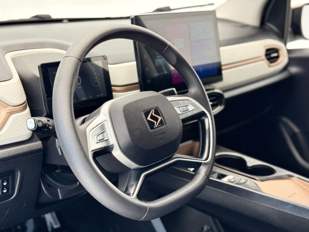 e-JS1 62cv 5p Aut. (Elétrico) — foto 19