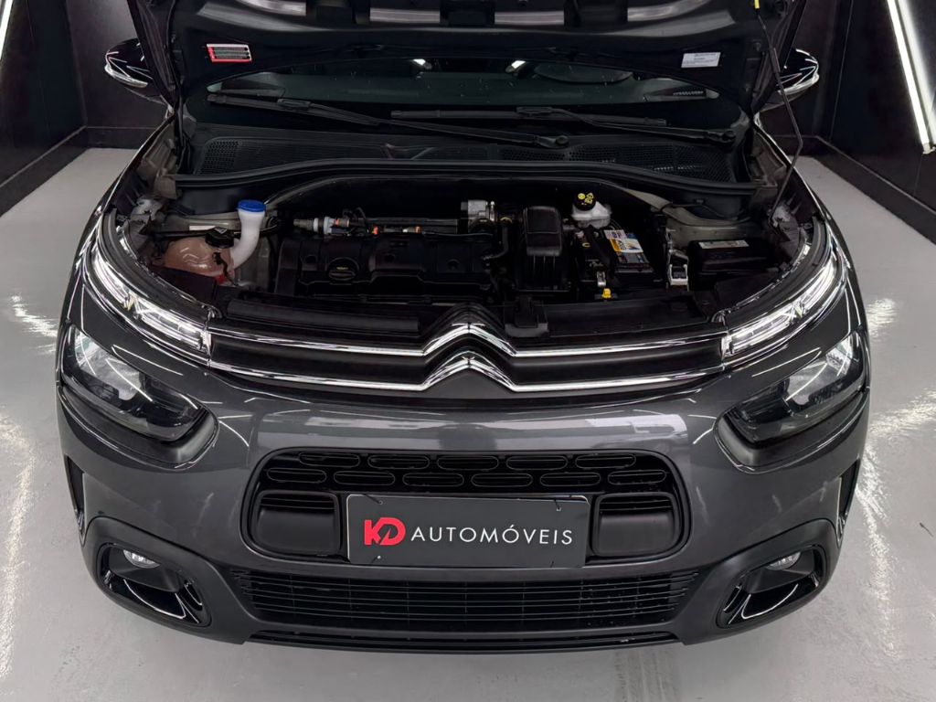 C4 CACTUS 1.6 FEEL — foto 13
