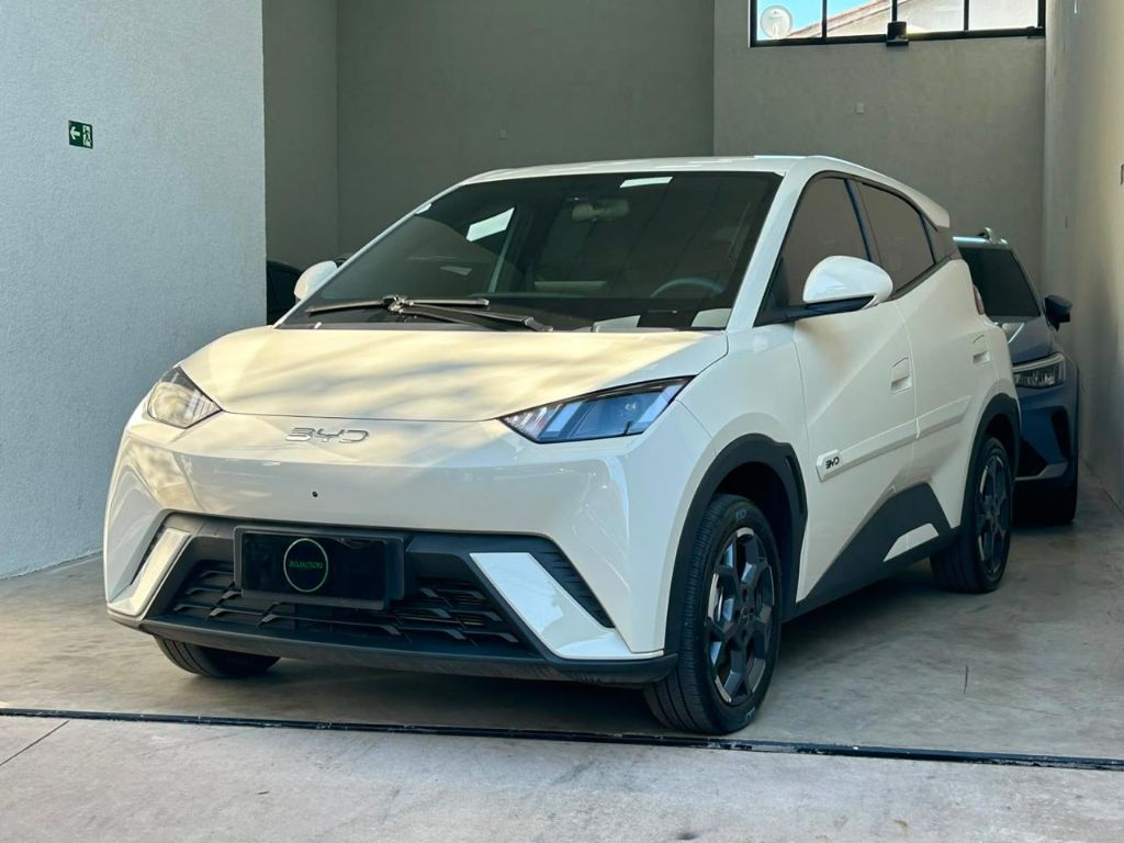 Dolphin Mini GS (Elétrico) — foto 1