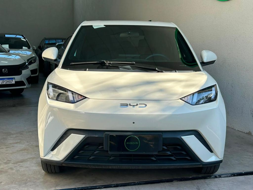 Dolphin Mini GS (Elétrico) — foto 10