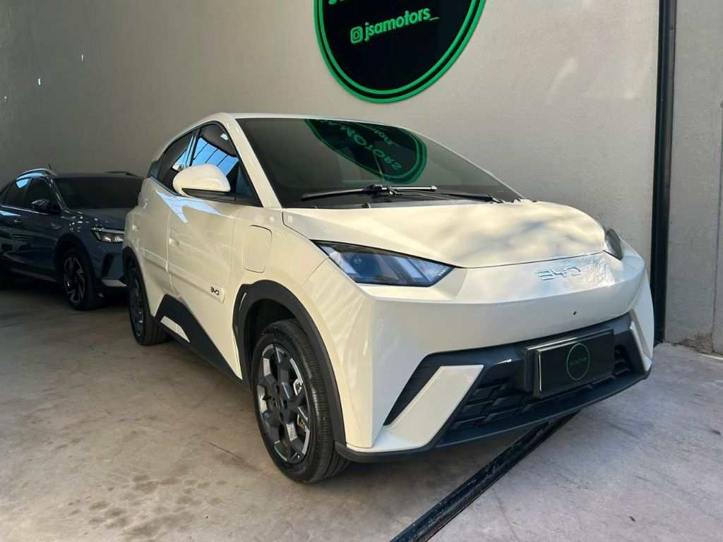 Dolphin Mini GS (Elétrico) — foto 6
