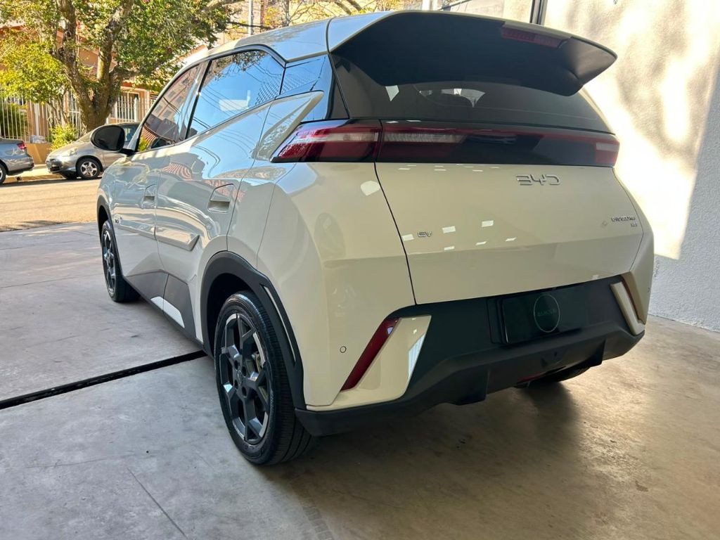Dolphin Mini GS (Elétrico) — foto 8