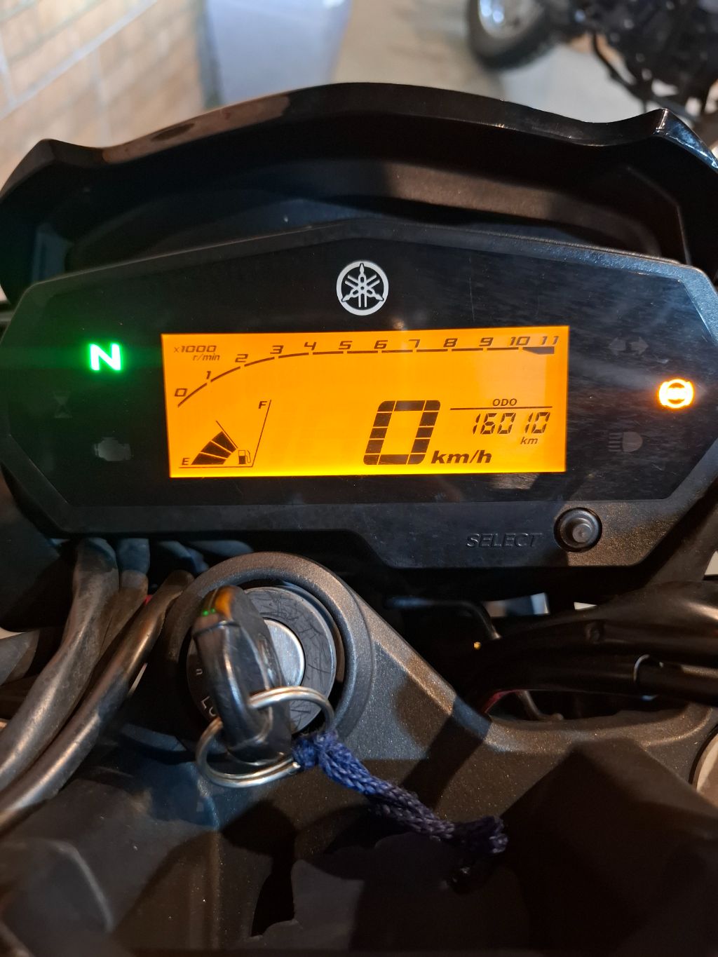 FZ25 250 FAZER FLEX — foto 7