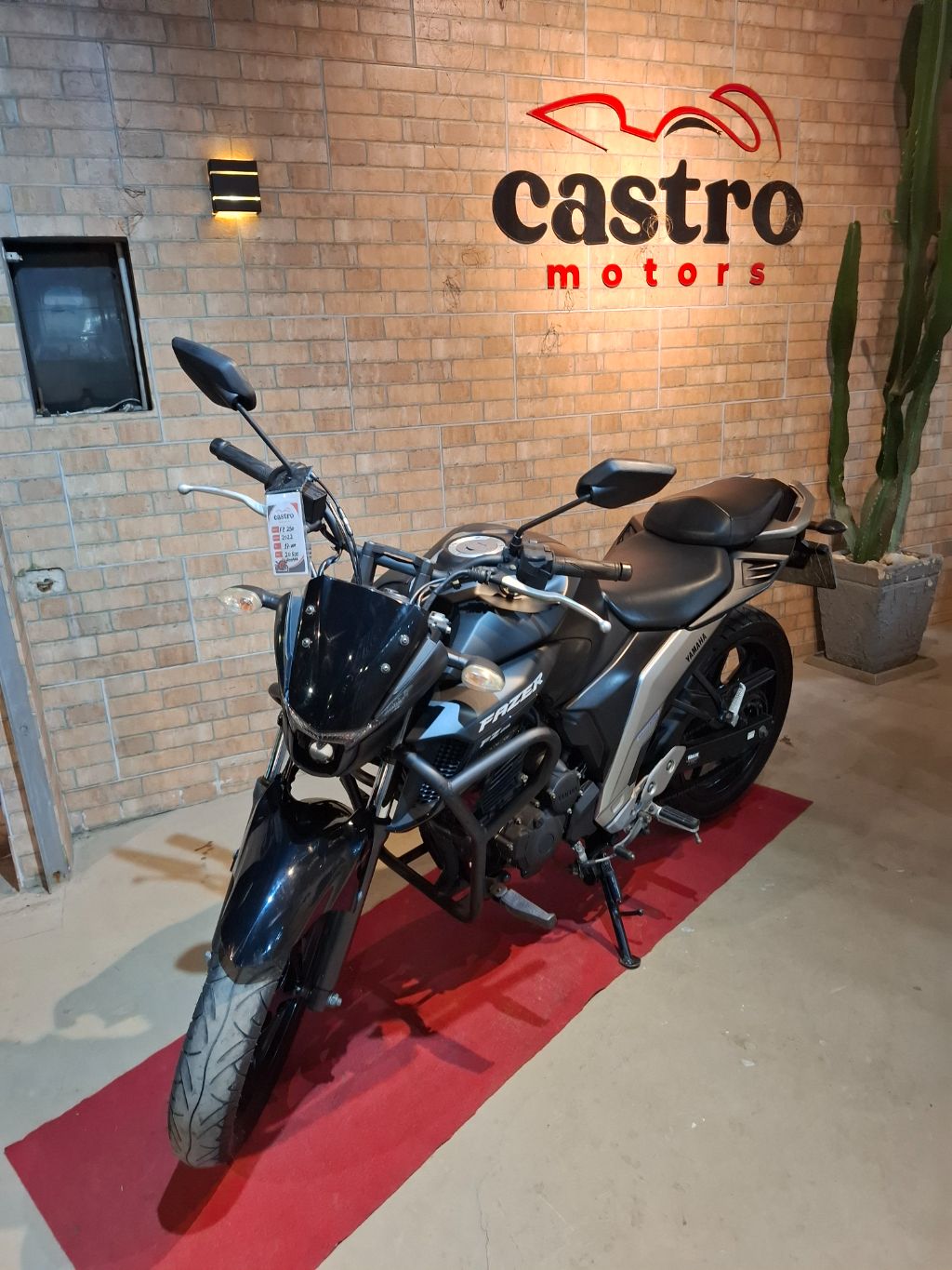 FZ25 250 FAZER FLEX — foto 1