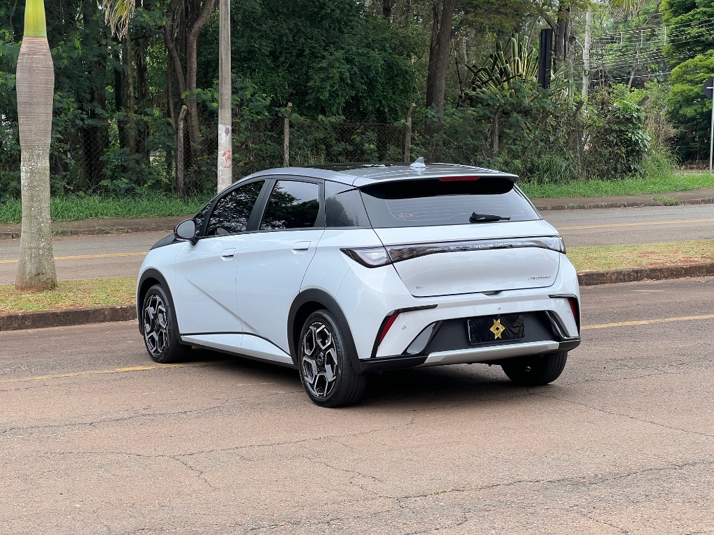 Dolphin Plus (Elétrico) — foto 5