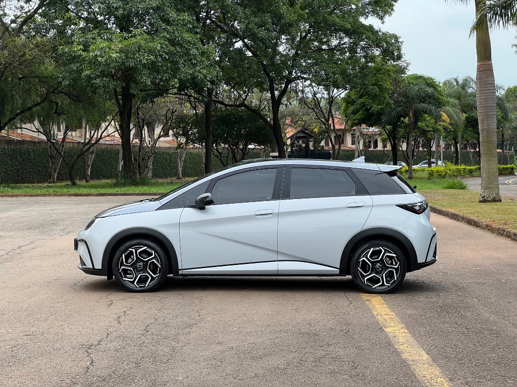 Dolphin Plus (Elétrico) — foto 3