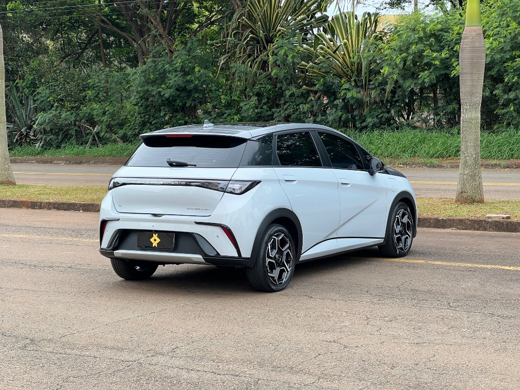 Dolphin Plus (Elétrico) — foto 6