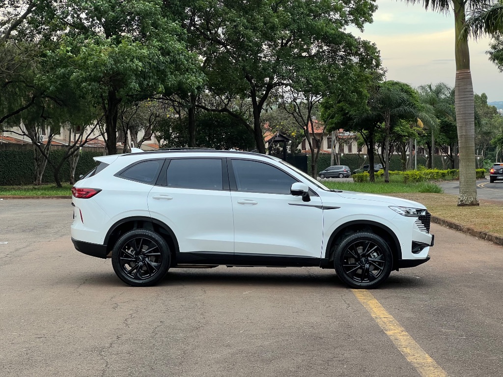 Haval H6 2 1.5 (Hibrido) — foto 6